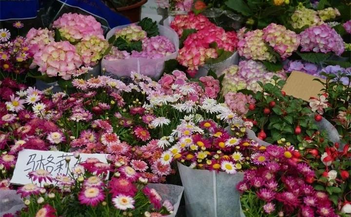 盆栽花发蔫什么原因,买回来的花很快就蔫的原因