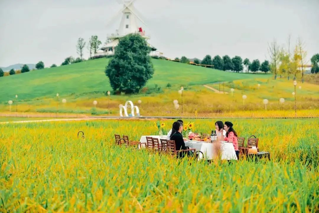青白江十大健身地,青白江区体育锻炼的地方