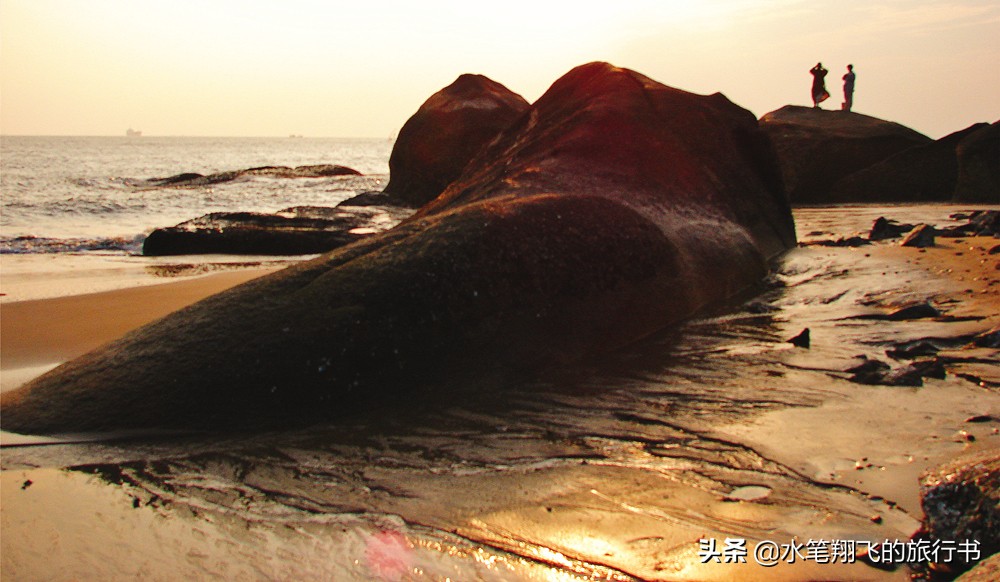 厦门有这样一个地方｜小和尚的邻居是大学生，古朴与摩登并存