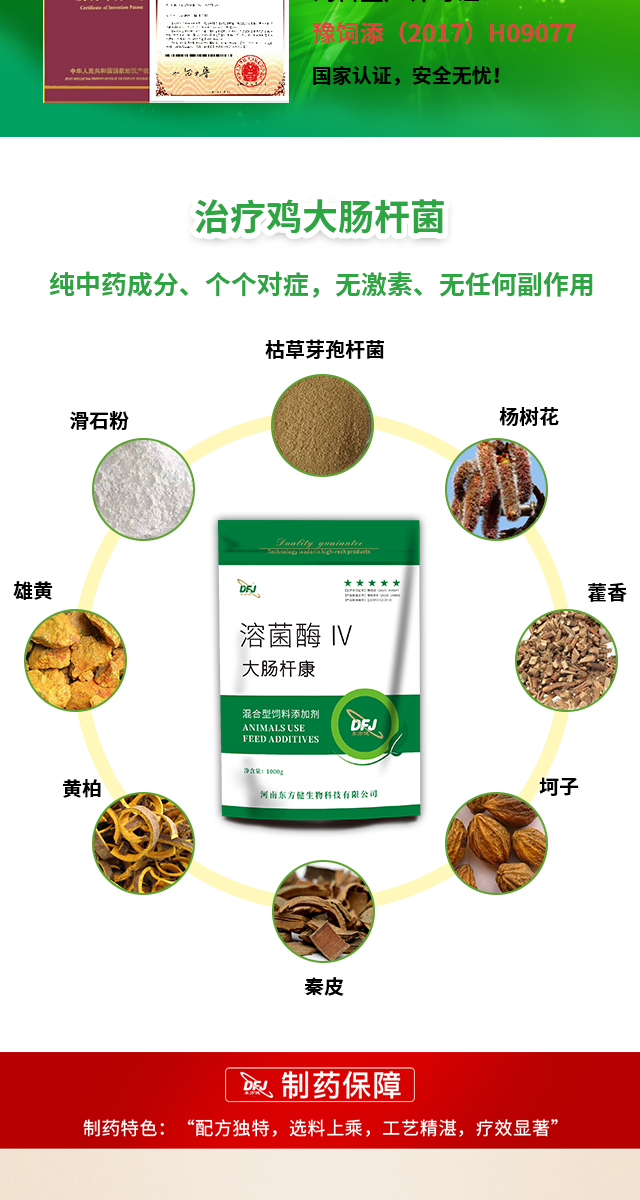 治疗禽类大肠杆菌病的最佳药物,大肠杆菌治鸡病