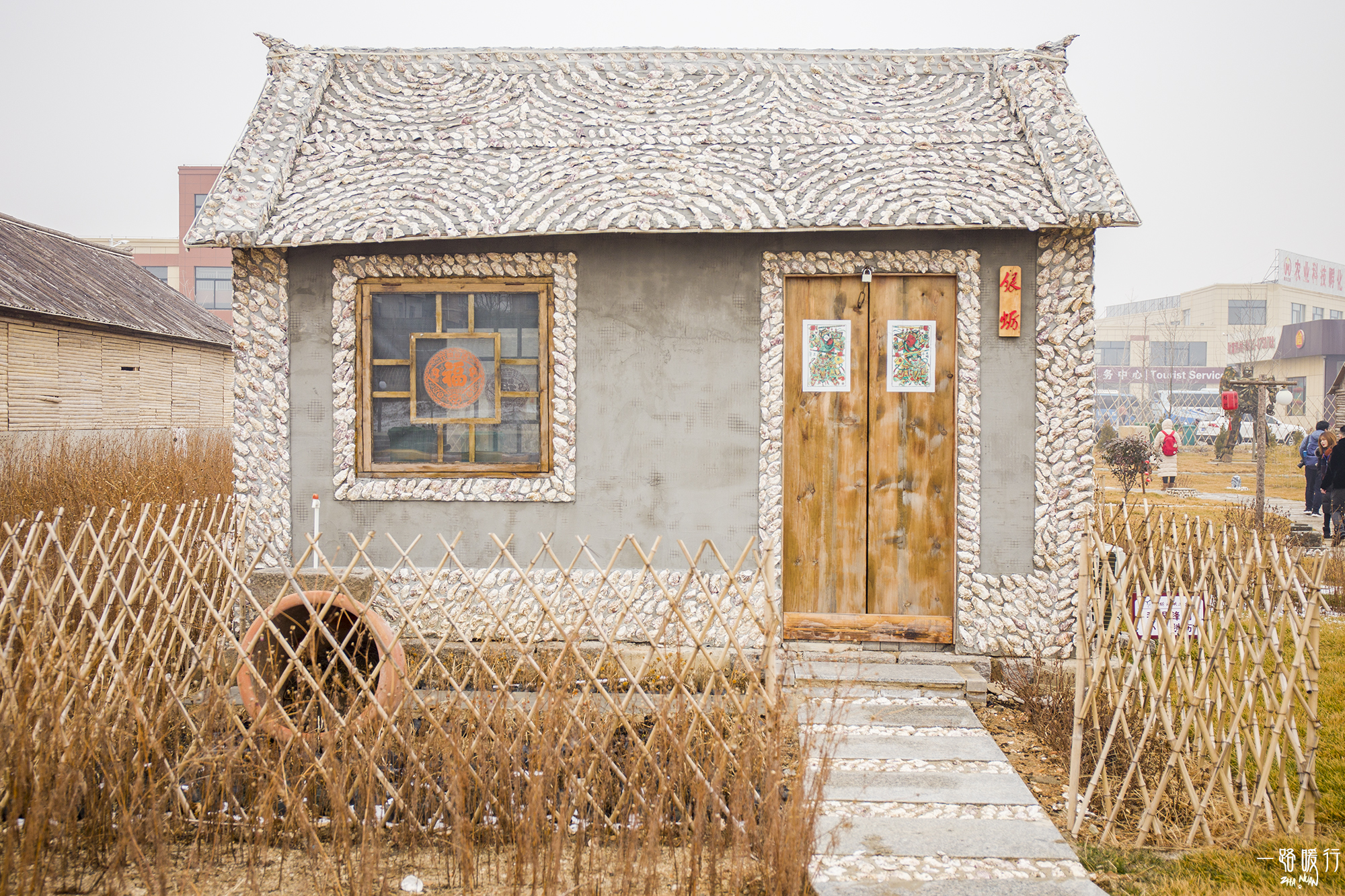 野生牡蛎王,海边野生牡蛎