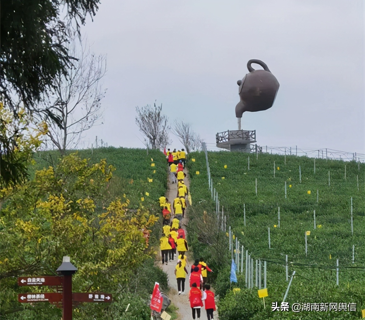 300余名骑行运动员齐聚,石门千人橙跑大赛