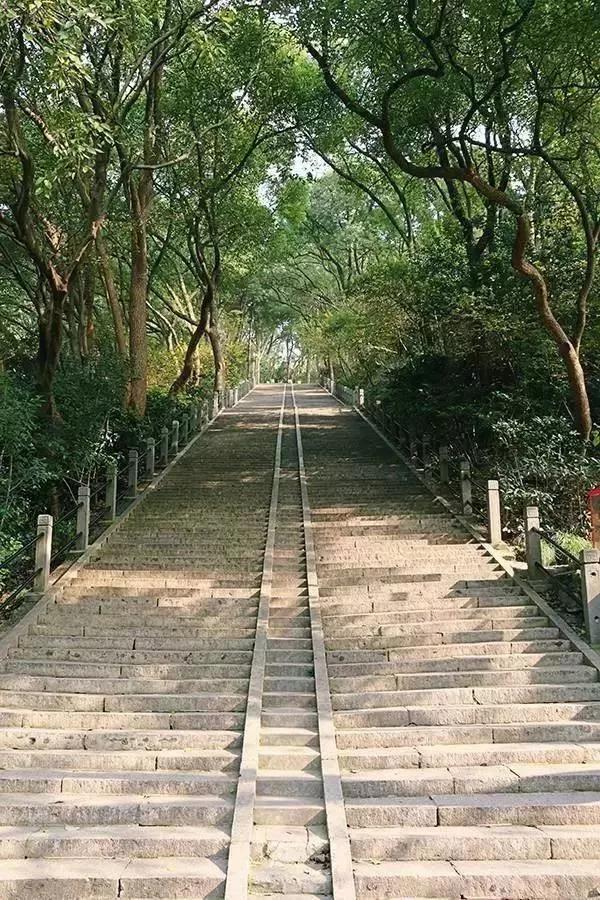 佘山国家森林公园五一,佘山国家森林公园在哪里预约入园