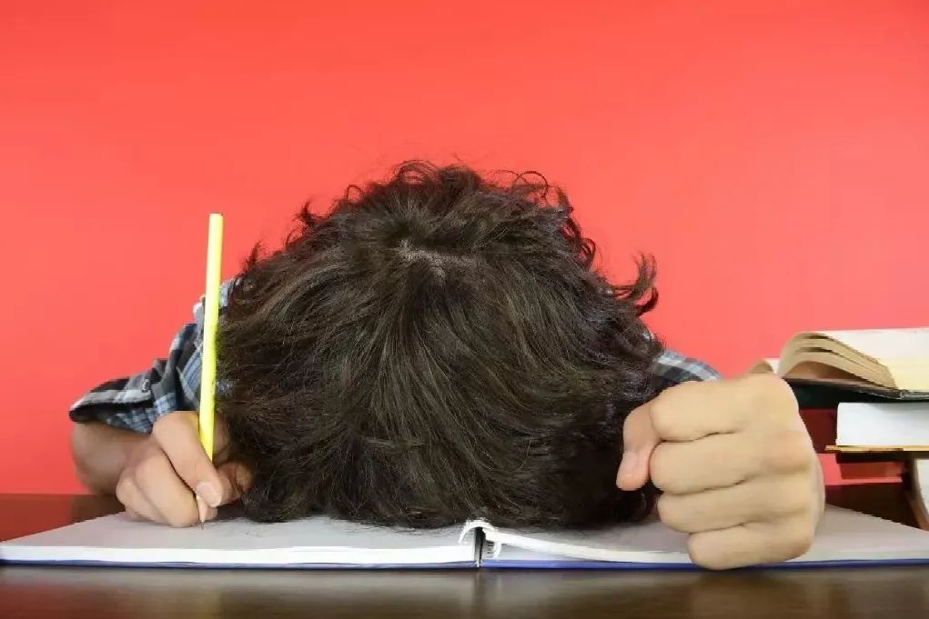 熊孩子写作业无语,熊孩子不自觉写作业的下场