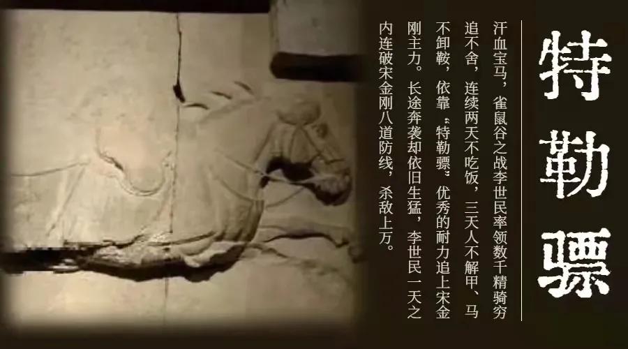 脑洞大开方言购物,脑洞大开的车有哪几种