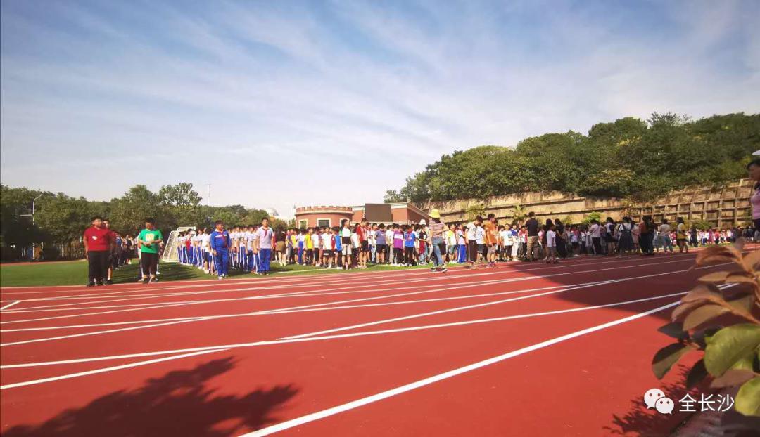 长沙市枫树山集团,湖南长沙实力最强的企业有哪些