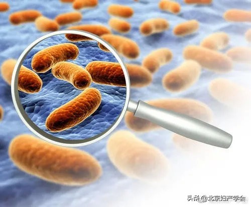 子宫颈癌前期能查出来吗,子宫颈癌筛查有高危细胞怎么办