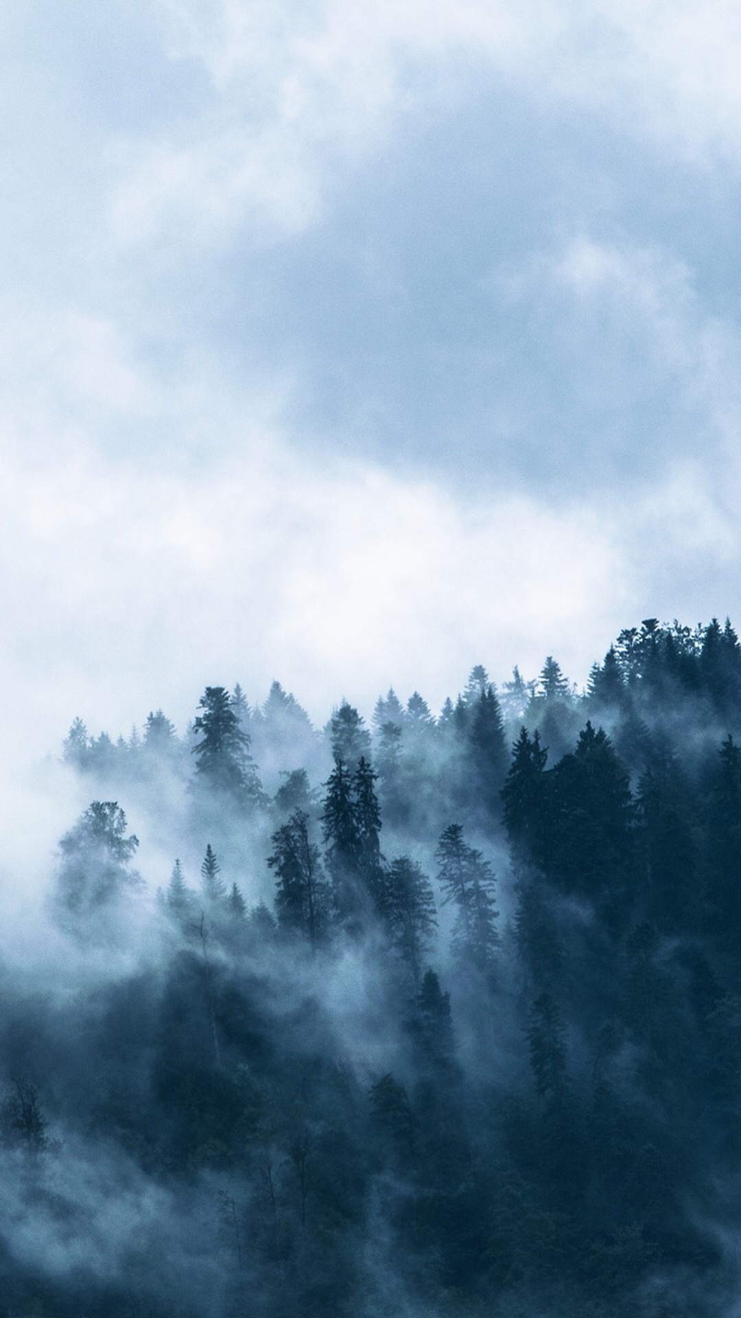 手机壁纸高清全屏2021最好风景,漂亮迷人美女风景高清壁纸