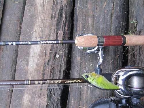 海钓用路亚竿还是用矶钓竿筏竿,筏竿矶钓竿路亚竿的区别是什么