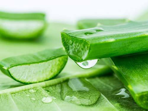 孕妇尿蛋白高需要忌讳什么食物,女人备孕最忌讳的食物有哪些