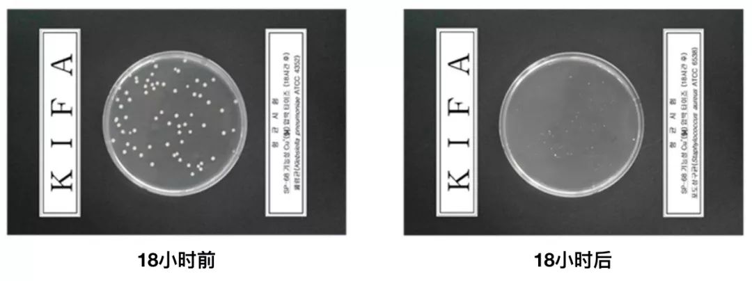 肖战采访练腿,肖战采访谈杨紫身材好