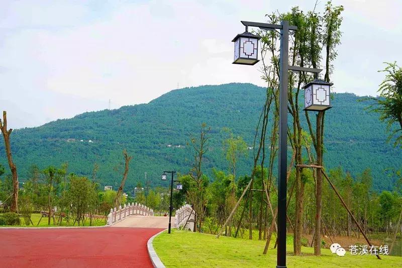 苍溪湿地公园有什么,苍溪最新湿地公园