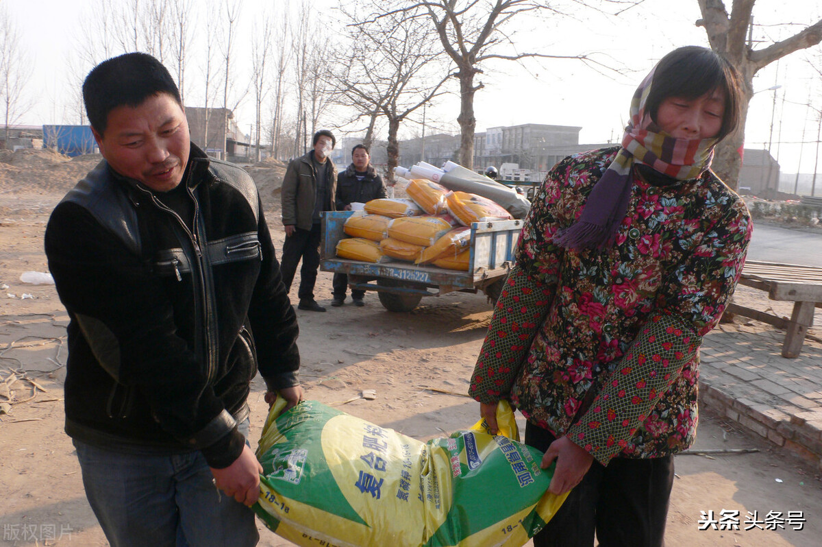 卖肥料到底赚不赚钱,肥料靠什么赚钱