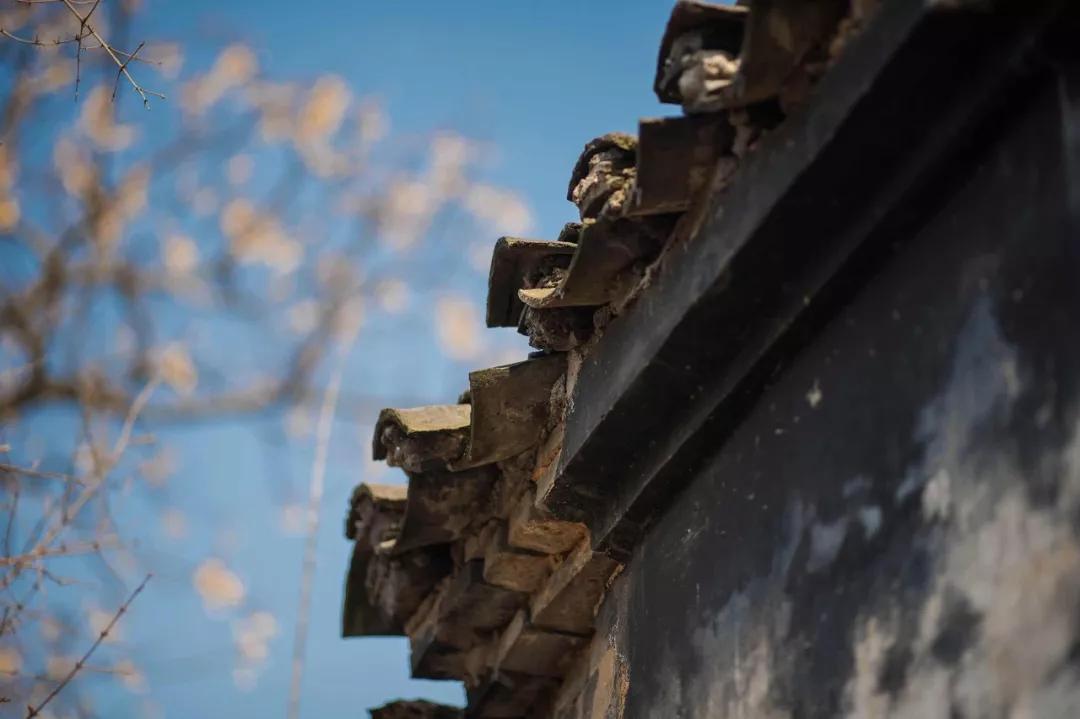 @游友，苏州的古镇都在这儿了