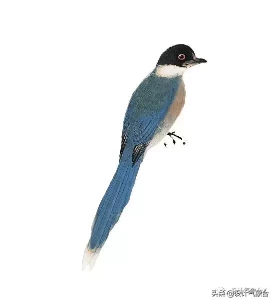 你嫉妒那个用古风出图的同事?我也嫉妒