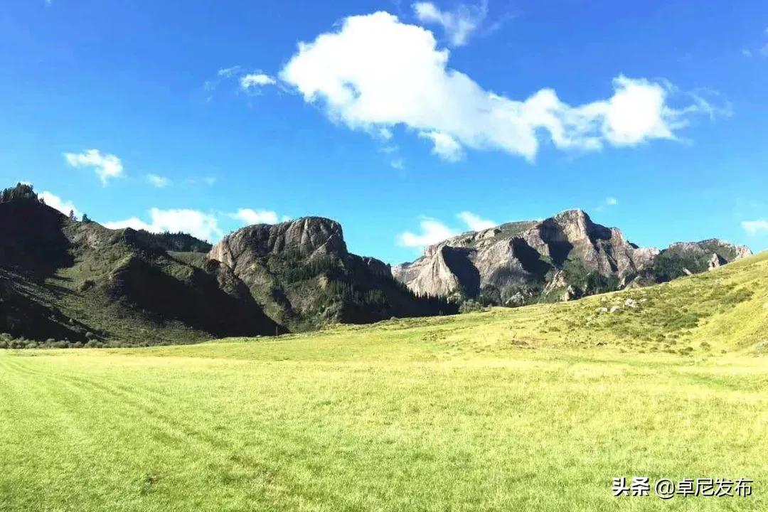 甯呮皵闃垮崜,鏃╂湡闃垮崜