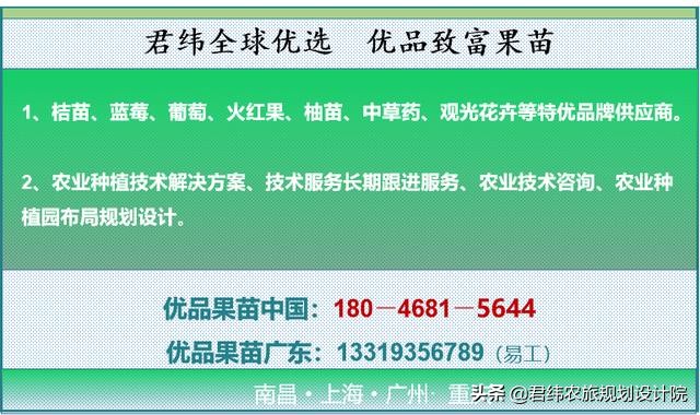 鏌戞涓殑璐垫棌娌冩煈,鏌戞涔嬪弸娌冩煈