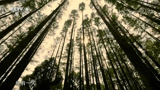 每30秒就有一个人自杀，求求别再叫她们想开点了