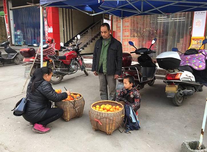 几十万斤鲜橙“烂在手里”，大爷却只能干着急，落下无助泪水