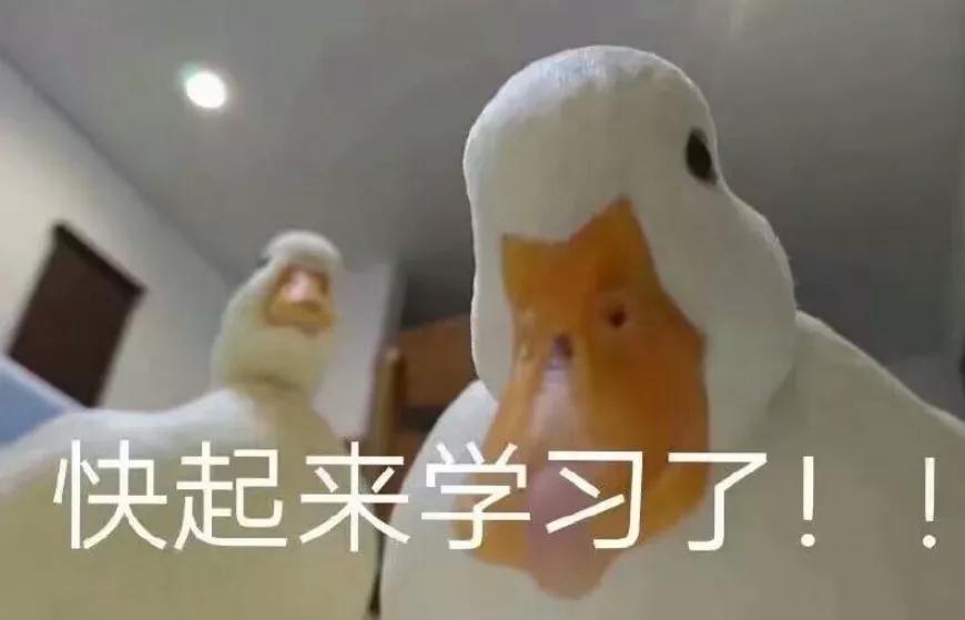 高速上撞到障碍物我应该找谁赔,高速上前方突然有障碍物