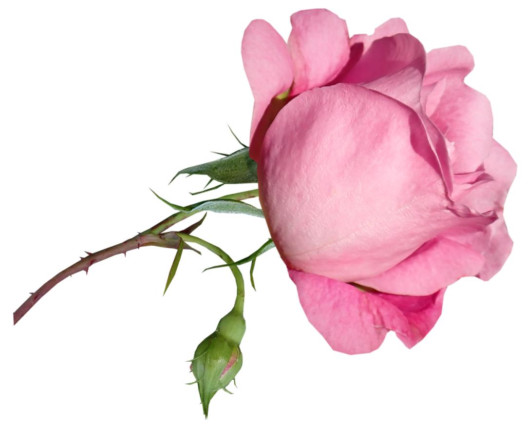 情商高的七个表现是什么呢,情商高的三大表现你中哪个