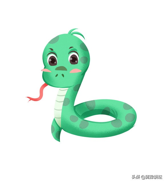 野外夏天防蛇的最佳方法,防止蛇最有效的花草