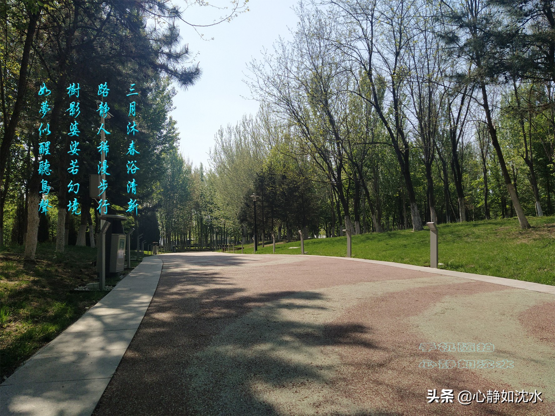 绿叶知花意，春花晓风情