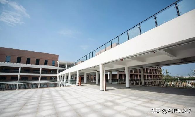 合肥市开学,合肥各校开学时间