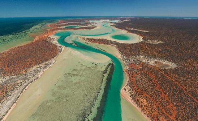 小米打气宝能放气吗,小米打气宝拆解