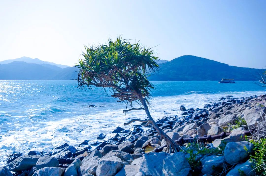 这才是国内最美的地方,这才是中国34省最该去的地方