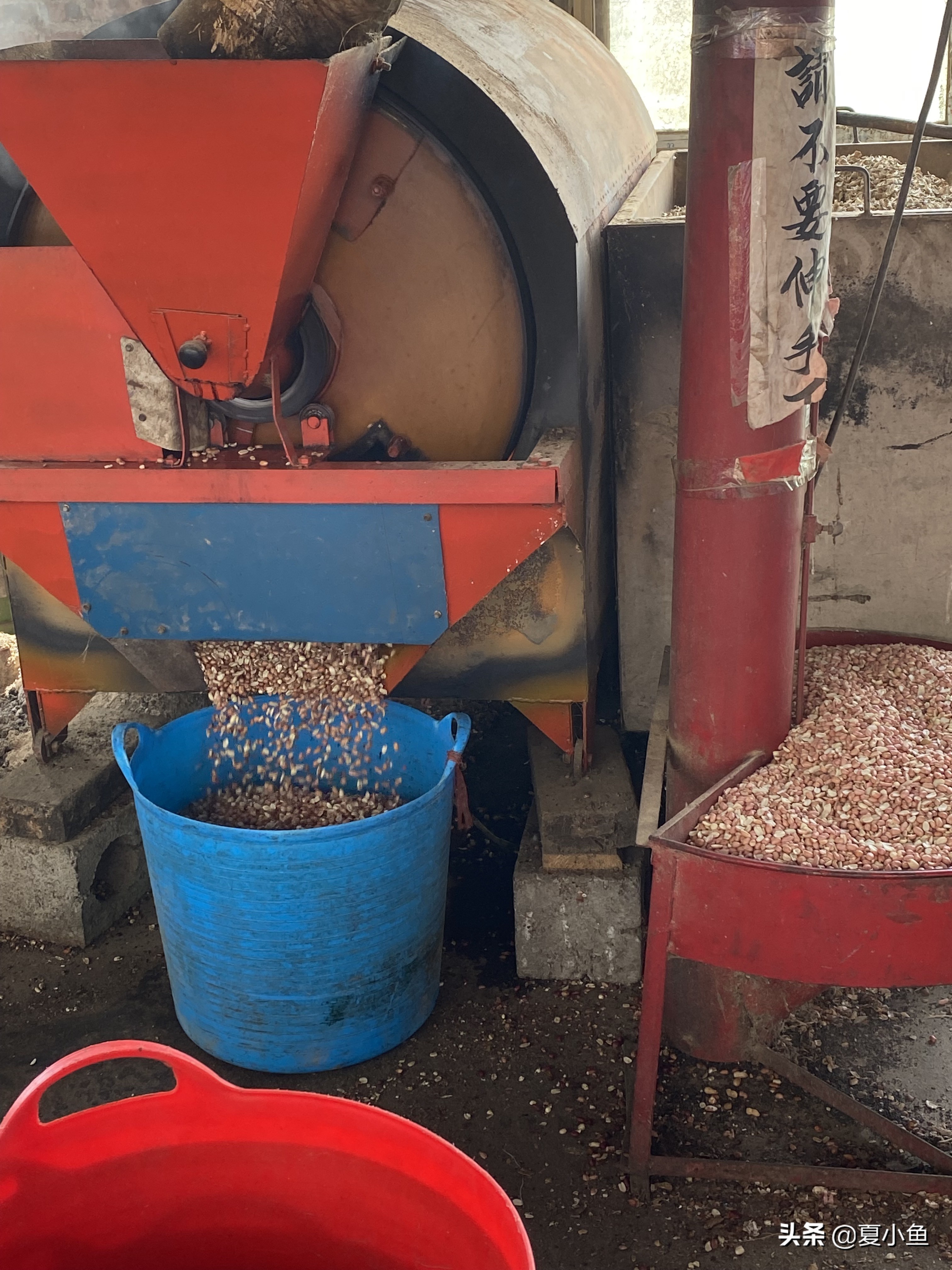 纯正花生油背后的秘密,花生油的猫腻是怎么回事