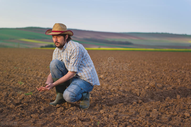 测土壤酸碱度的最简单有效的办法,怎样用酢浆草改变土壤酸碱度