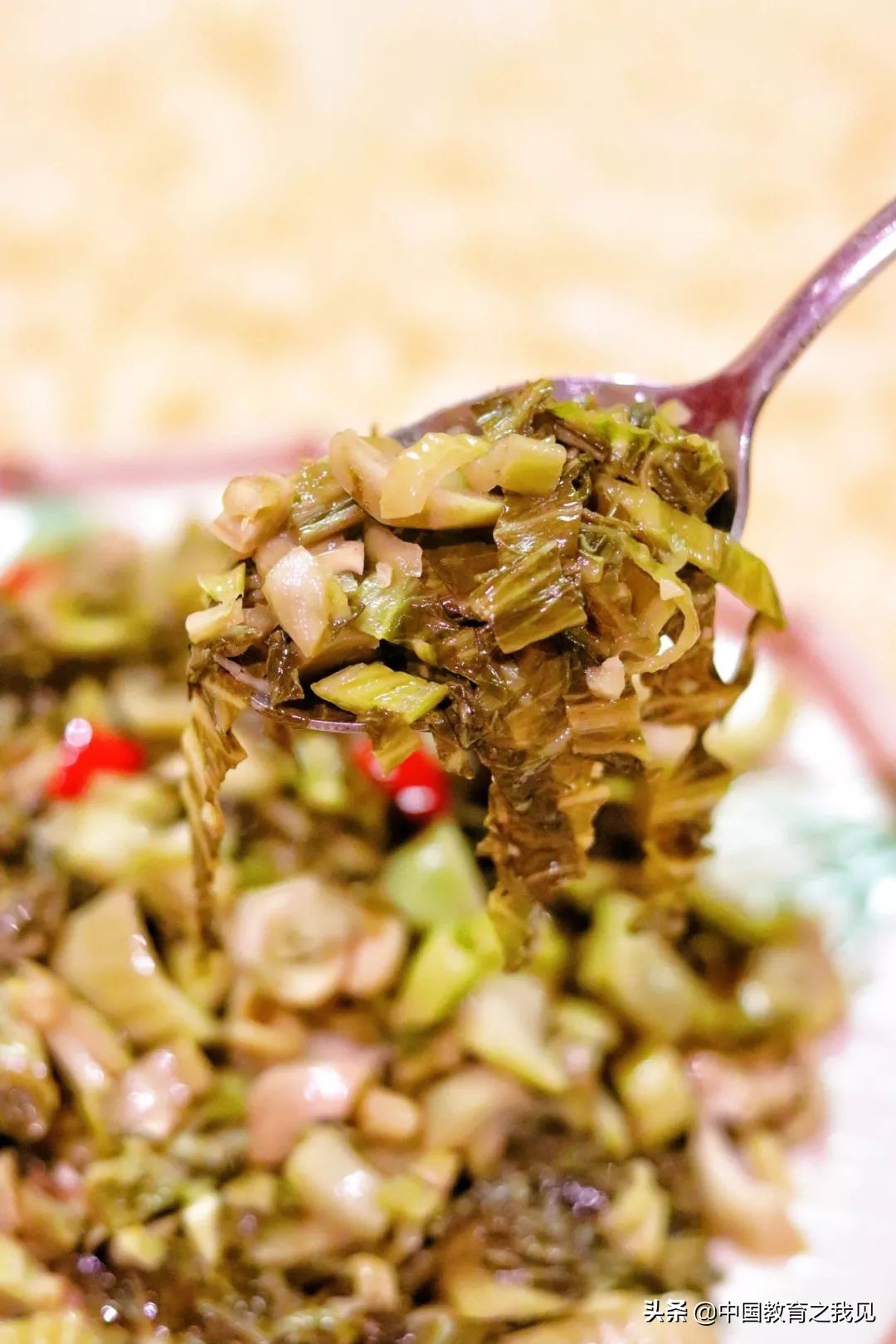 叶南渔村葡萄园,叶南渔村