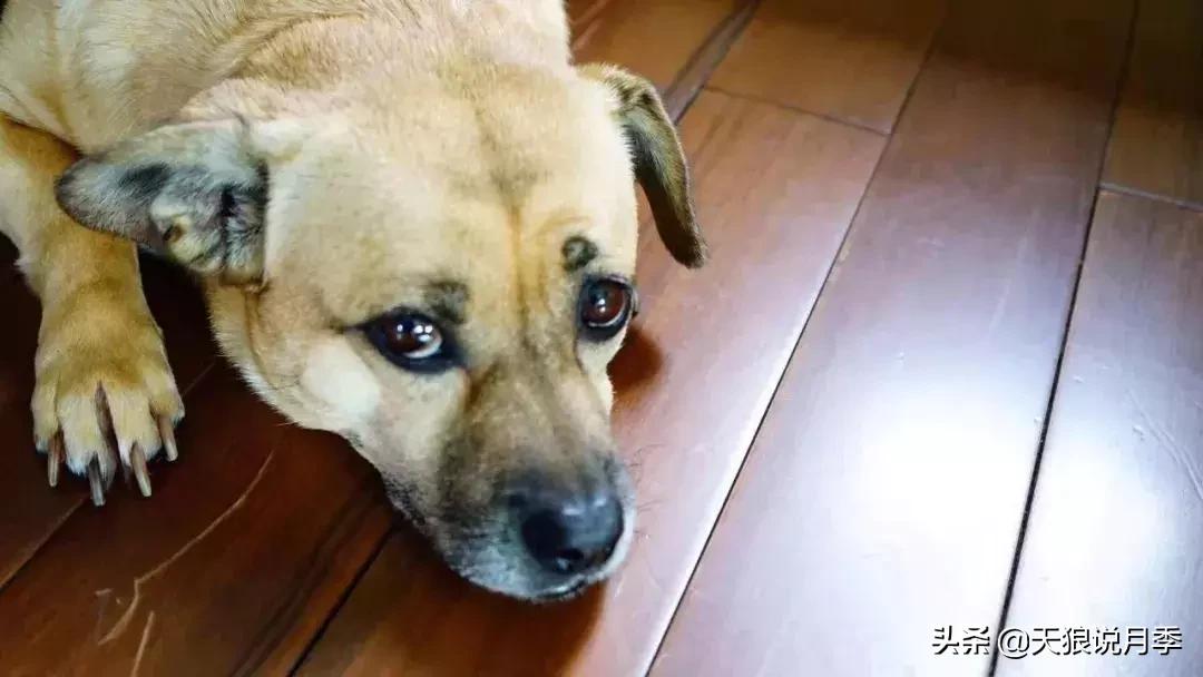 露台打造花海,她用10年改造庭院