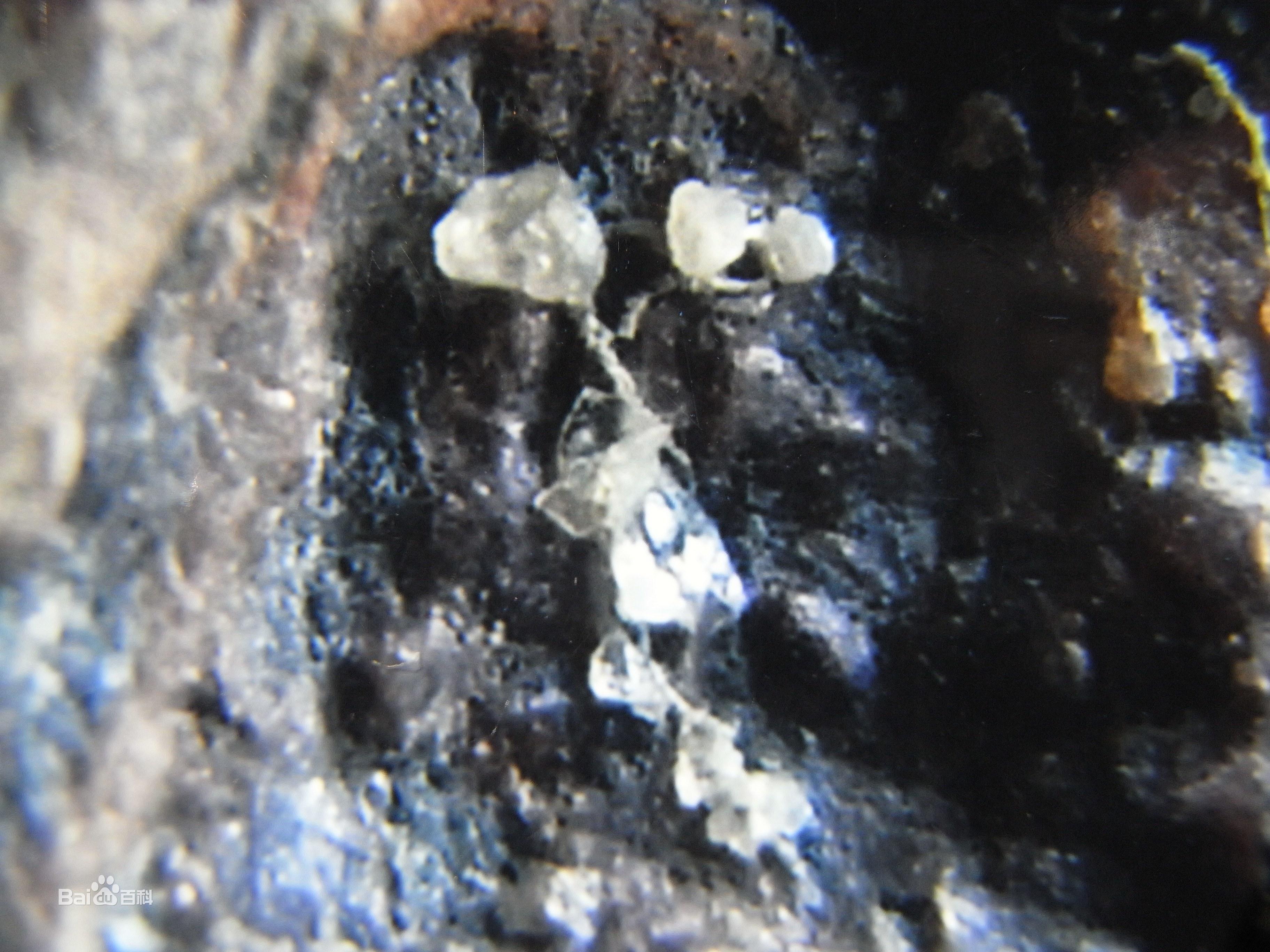 为你介绍地球上昂贵的稀有物质，其中包含人造迷幻药成分的来历