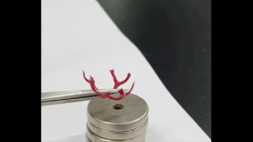 4d打印新型材料,最震撼的4d打印