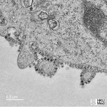 cis科研项目要花多少钱,cis科研项目全集