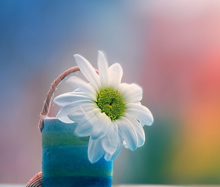 乳腺癌切除后吃内分泌药副作用,乳腺癌内分泌药阿那曲唑的副作用