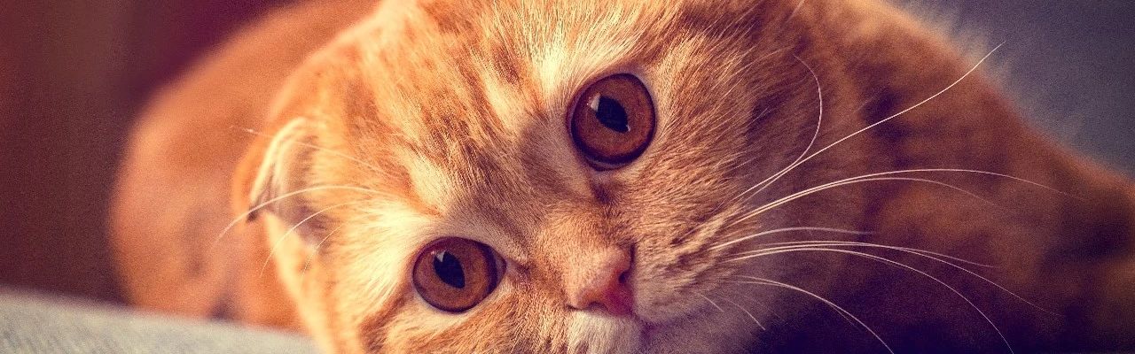 电脑壁纸超清壁纸精选酷,壁纸超清桌面壁纸