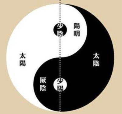 黄帝内经治未病篇是谁写的,治未病黄帝内经