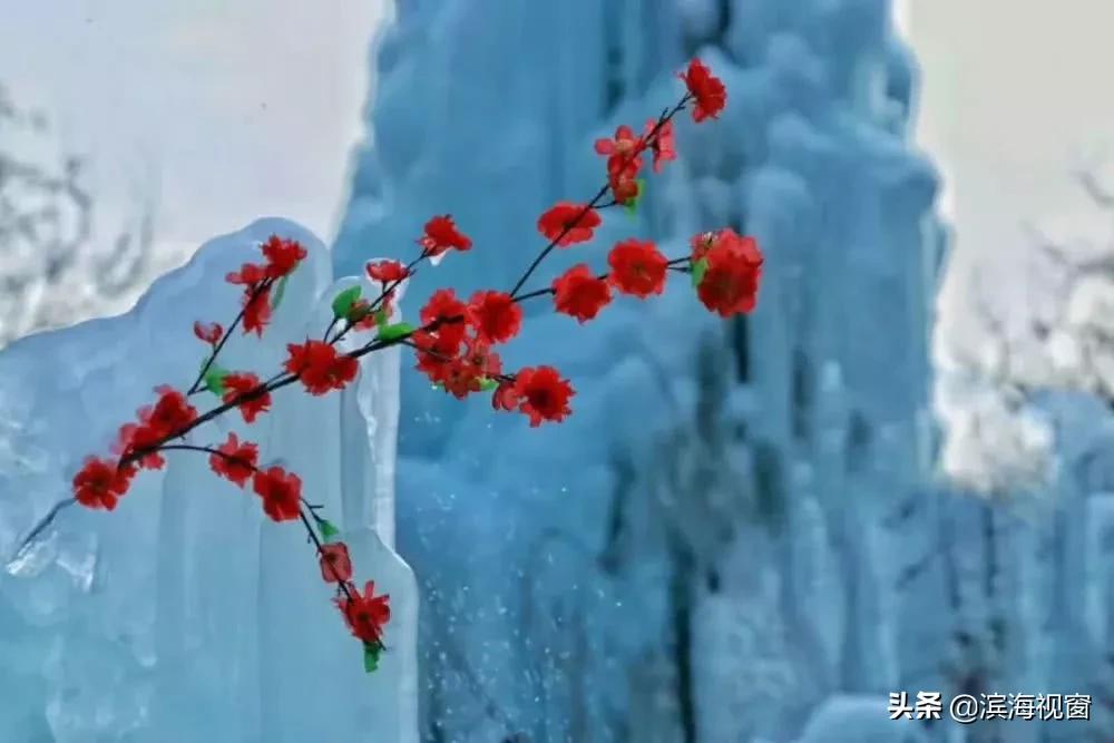 天津年味十足的地方,年味的天津夜景