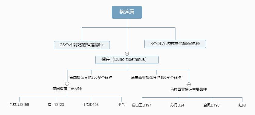 热带水果榴莲,热带水果之王是什么