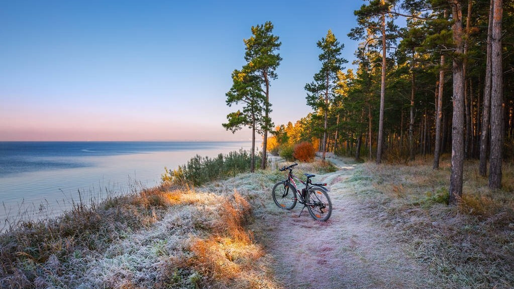 晓晴寒未起，霜叶满阶红。霜降时节，读古诗词，邂逅时光里的暖