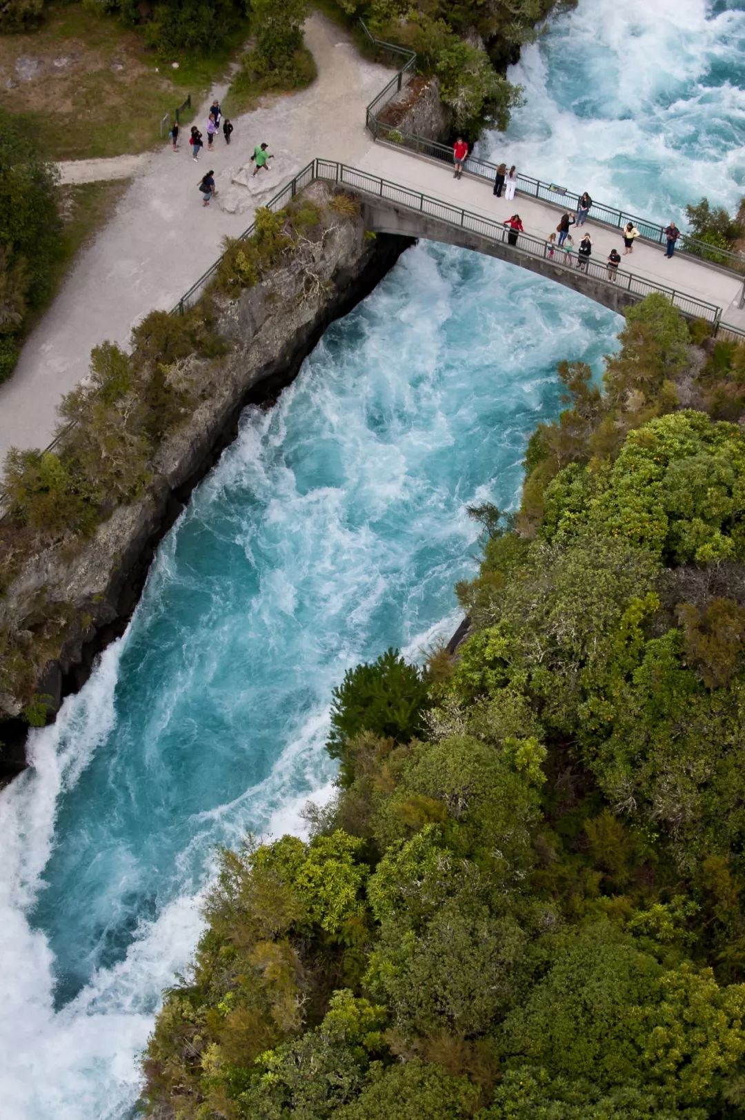 新西兰为什么那么发达,新西兰为什么这么牛