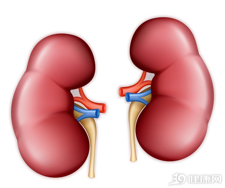 奇妙：这些器官没了，人也可以照样活！有你知道的吗？