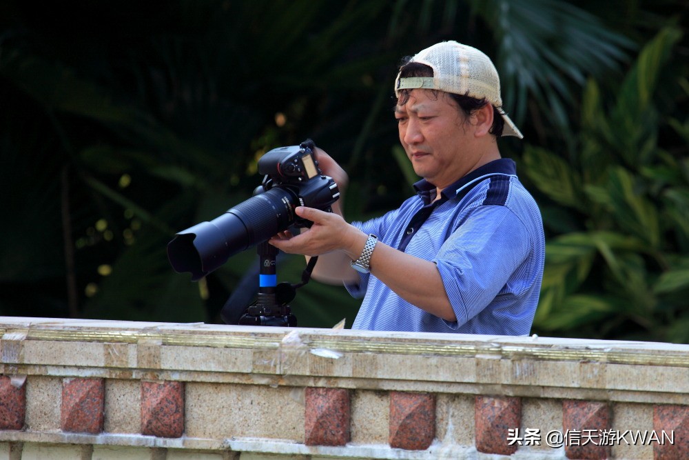 澶忚嚦宸茶嚦鑽疯姳鏅偣 (澶忚嚦宸茶嚦閭ｅ氨蹇樺嵈鐐庣儹鍘昏祻鑺卞惂)
