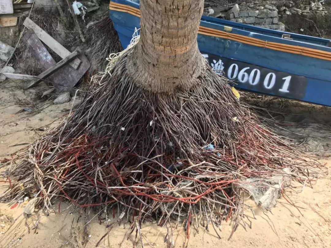 红塘湾马岭,三亚市天涯区红塘湾地图