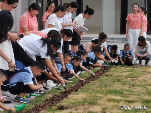 仙桃数据谷小学介绍,仙桃数据谷小学位置