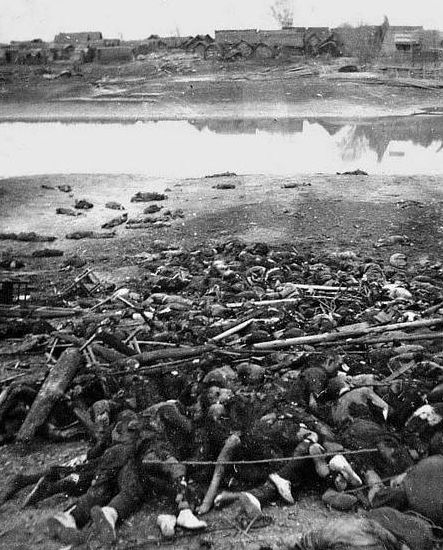 如何看待大屠杀事件,外国网友评价东京大审判