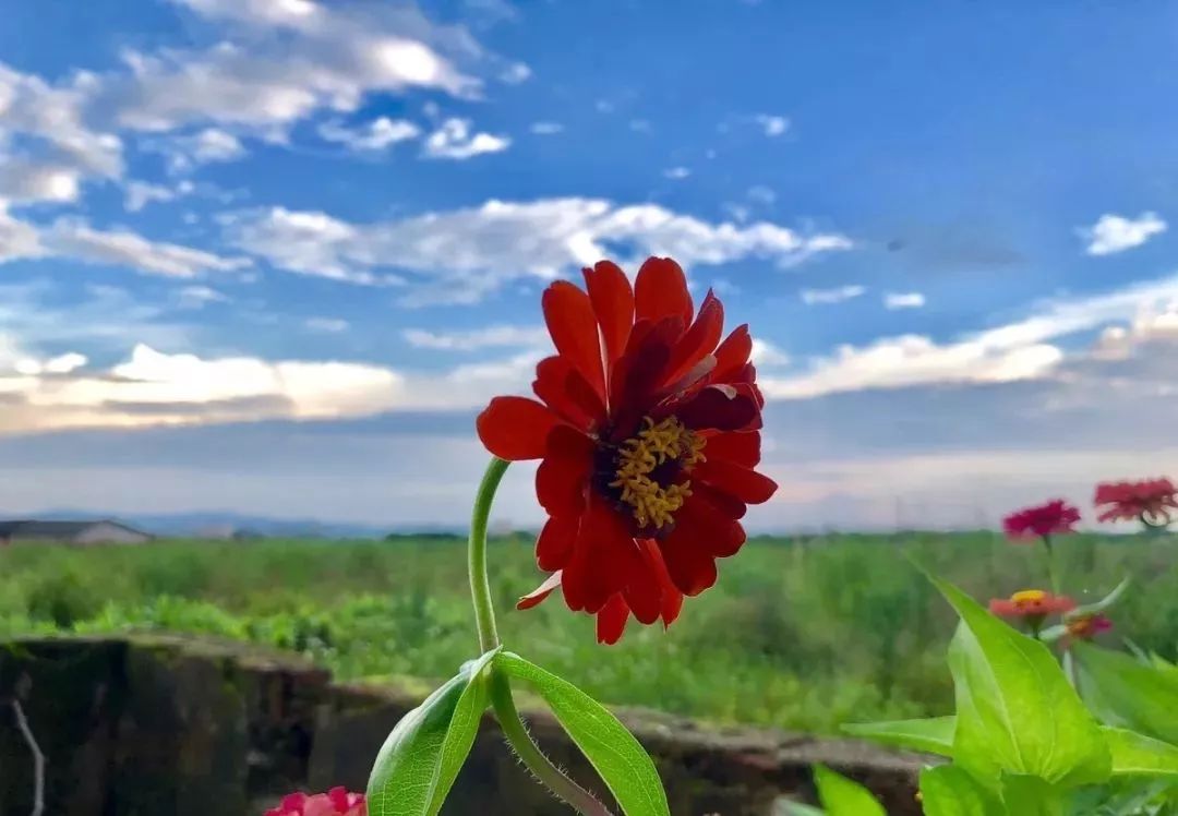 「儿童主播袁泽铭」《在路上》作者：碑林路人